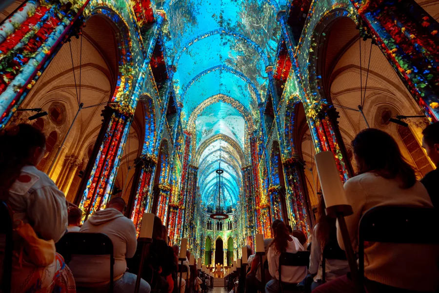Luminiscence Experience