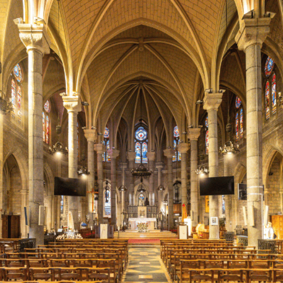 Luminiscence - LUMINISCENCE à la basilique Notre-Dame de l’Assomption à Nice